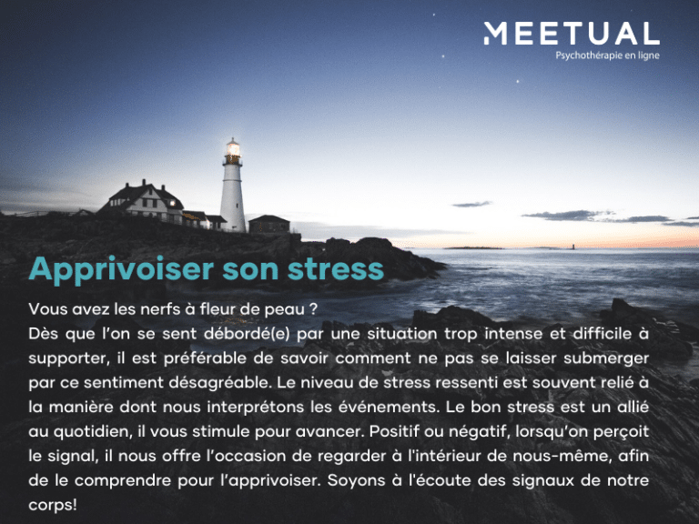Apprivoiser son stress | Capsule France Martel - Meetual